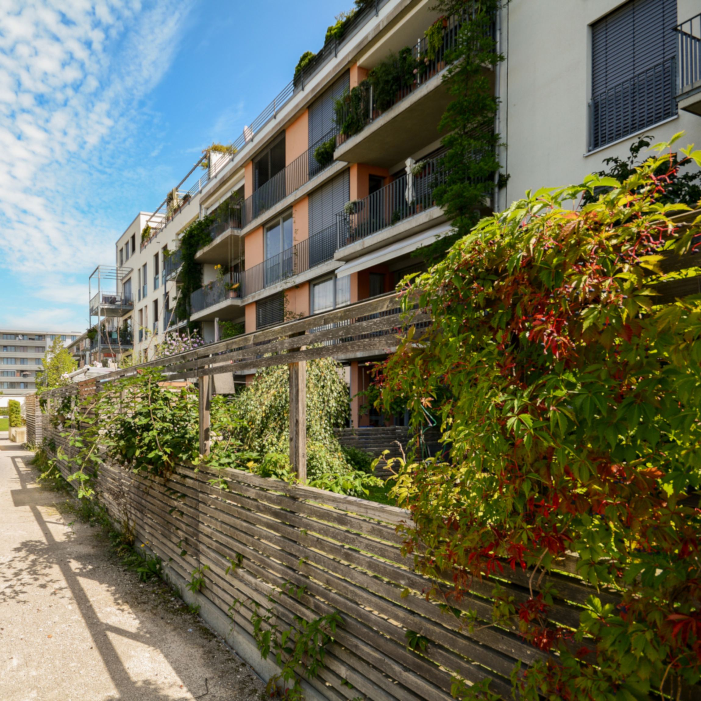 investissement immobilier sci ou pas