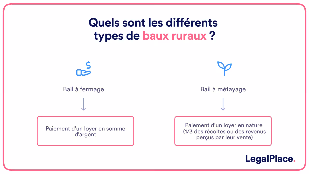 quels sont les differents types de baux ruraux