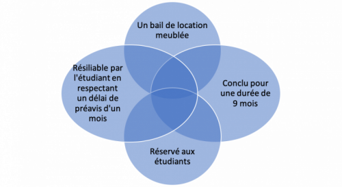 Bail étudiant (9 mois renouvellement) Bail étudiant (9 mois renouvellement)