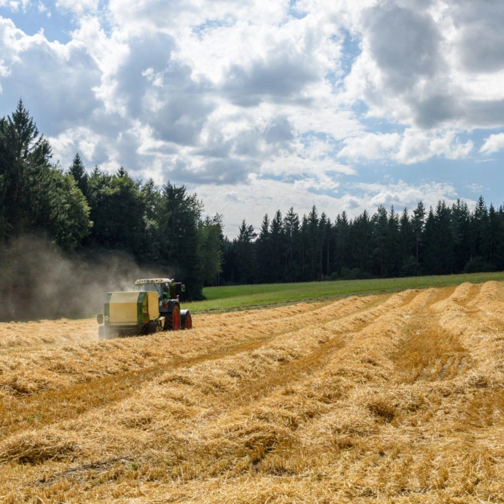 recuperer un terrain agricole loue sans bail guide complet