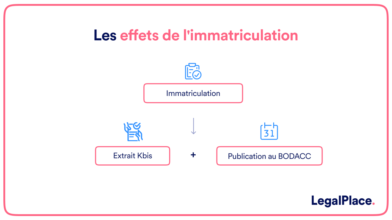 Les effets de l'immatriculation 