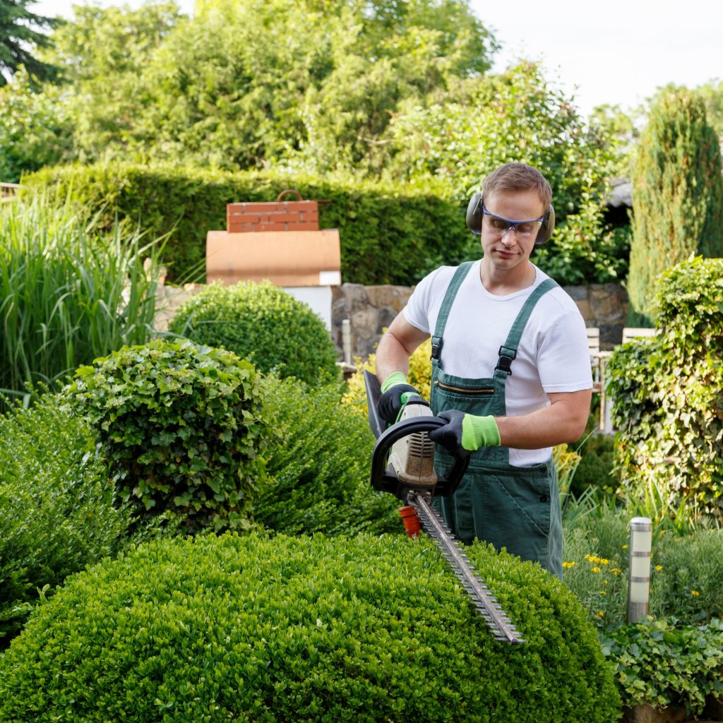 Formation Entretien Et Réparation Du Petit Matériel D espaces Verts Auto-entrepreneur et paysagiste : est-ce compatible ?