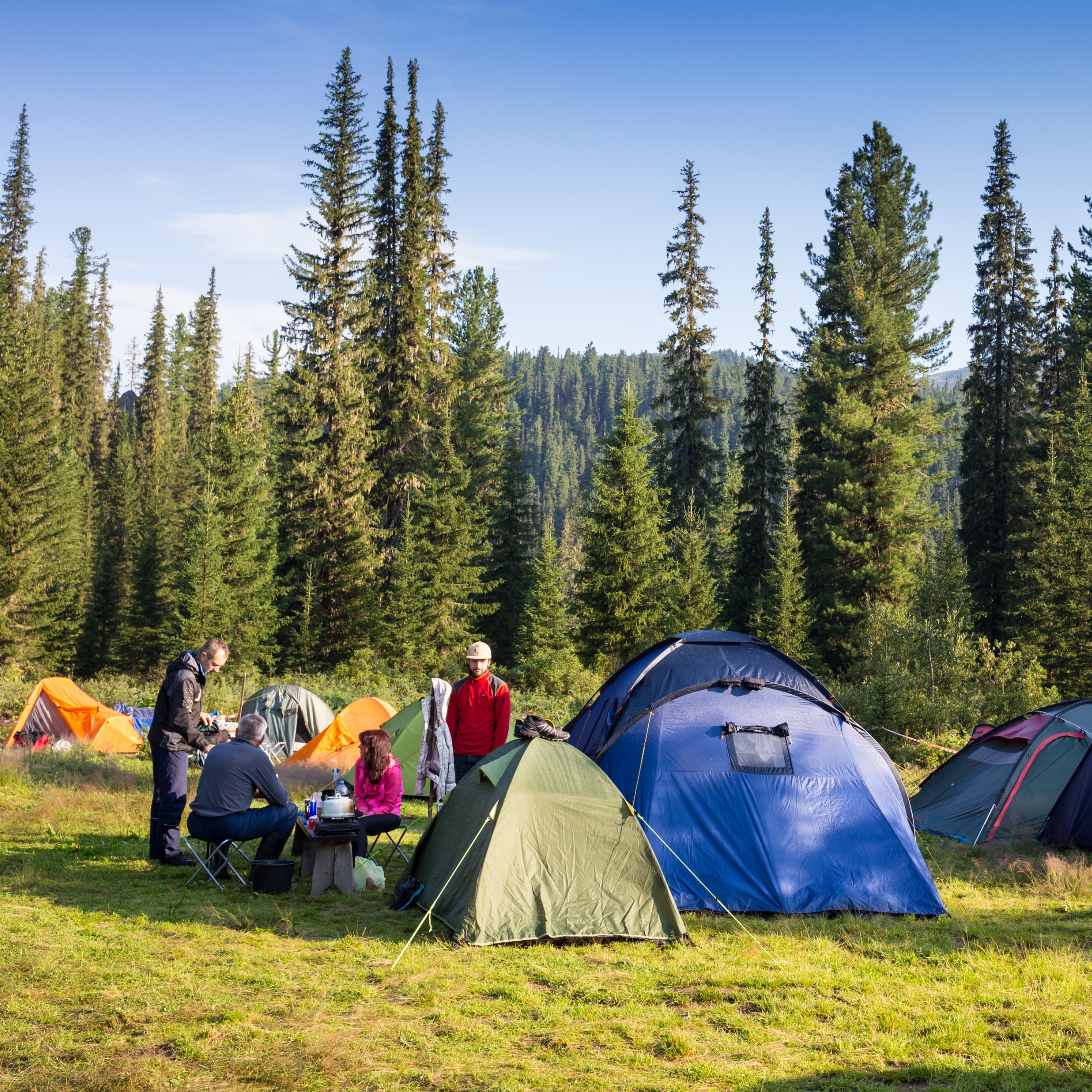 Quels sont les types d'hébergement en camping ?