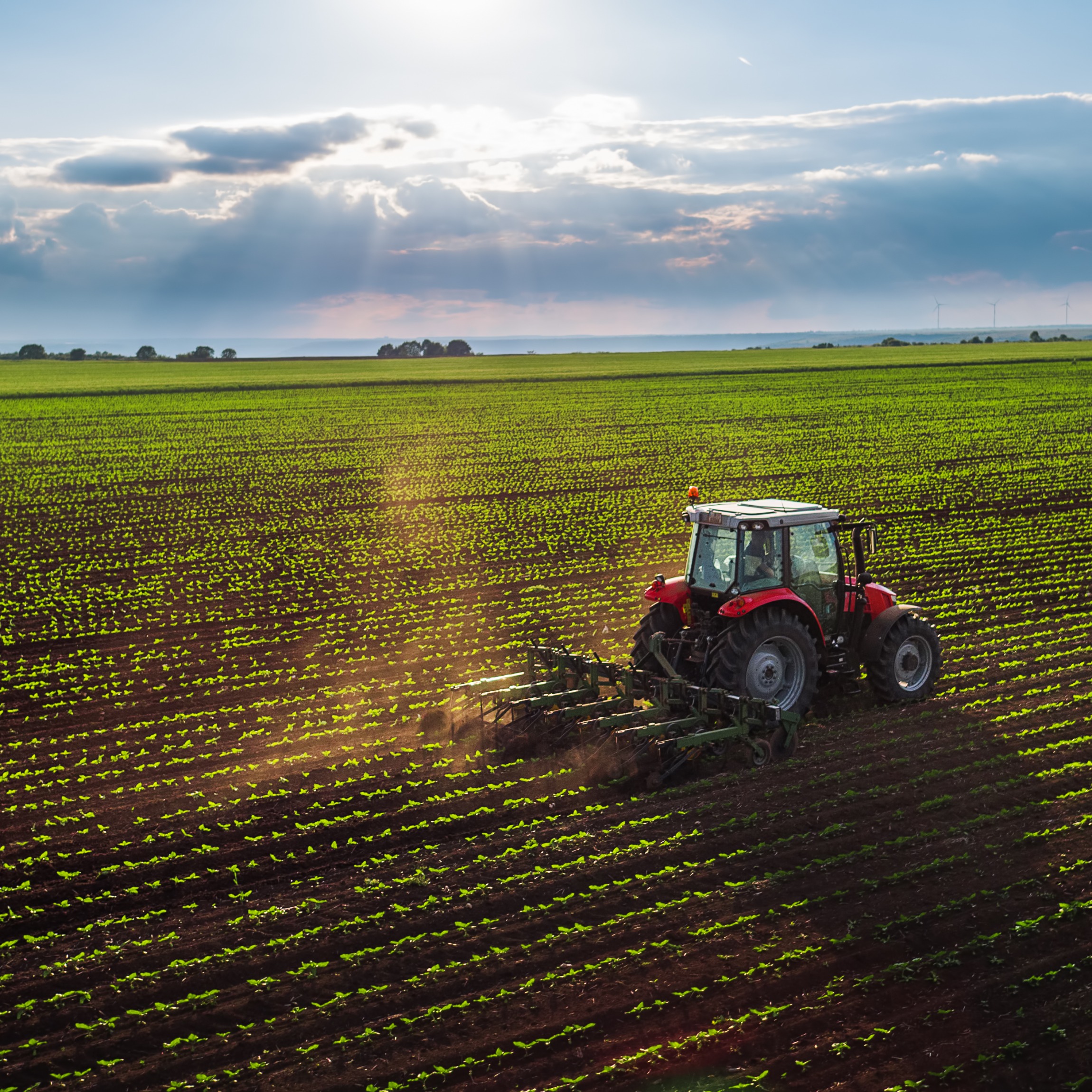 Créer une entreprise agricole  ce que vous devez savoir