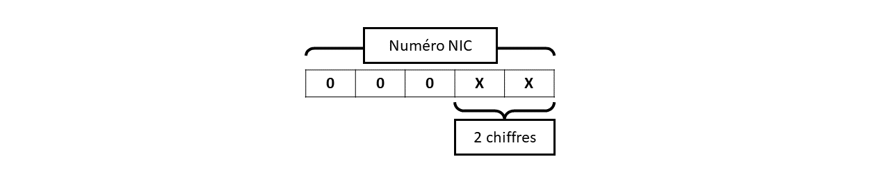 Numéro NIC