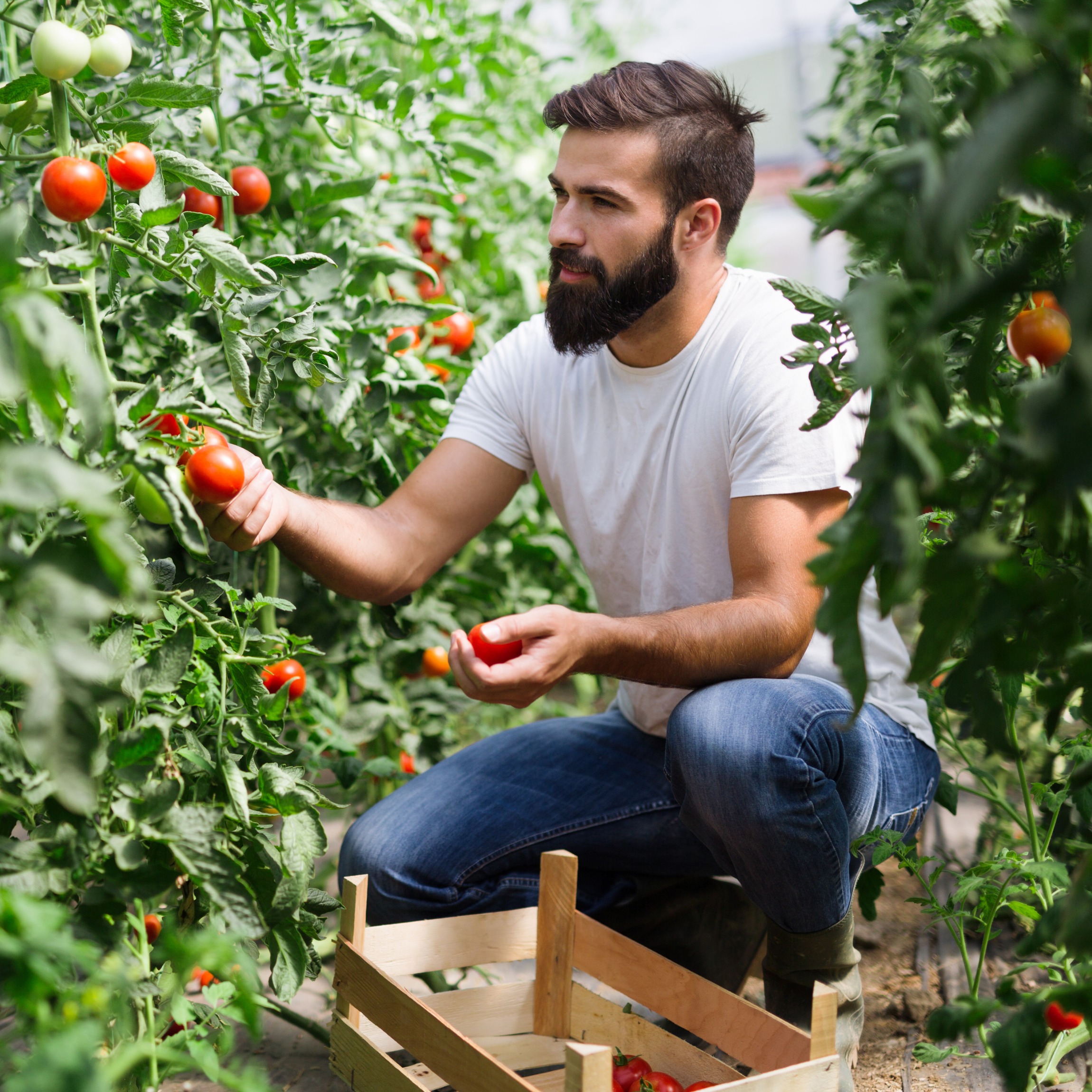 Contrat de prestation de service agricole : modèle et guide
