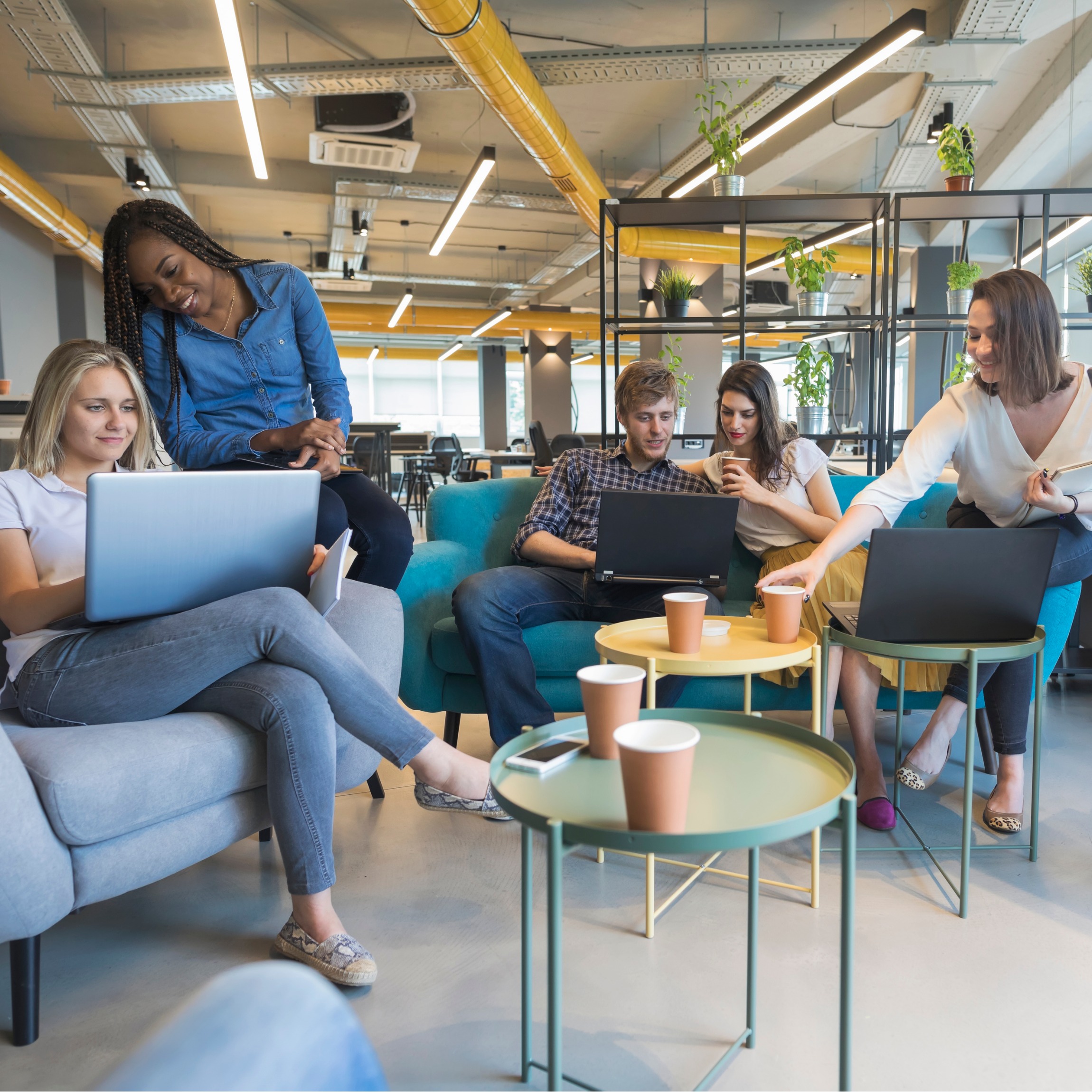 Startup définition, création et caractéristiques