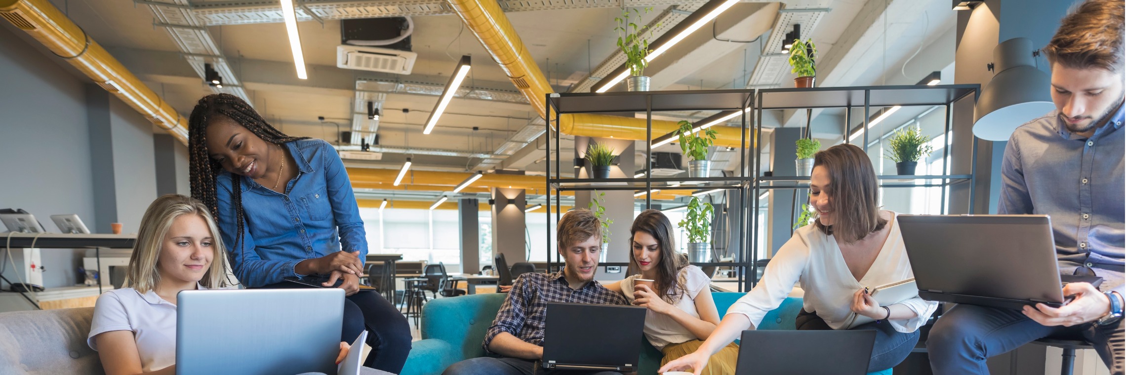 Startup définition, création et caractéristiques