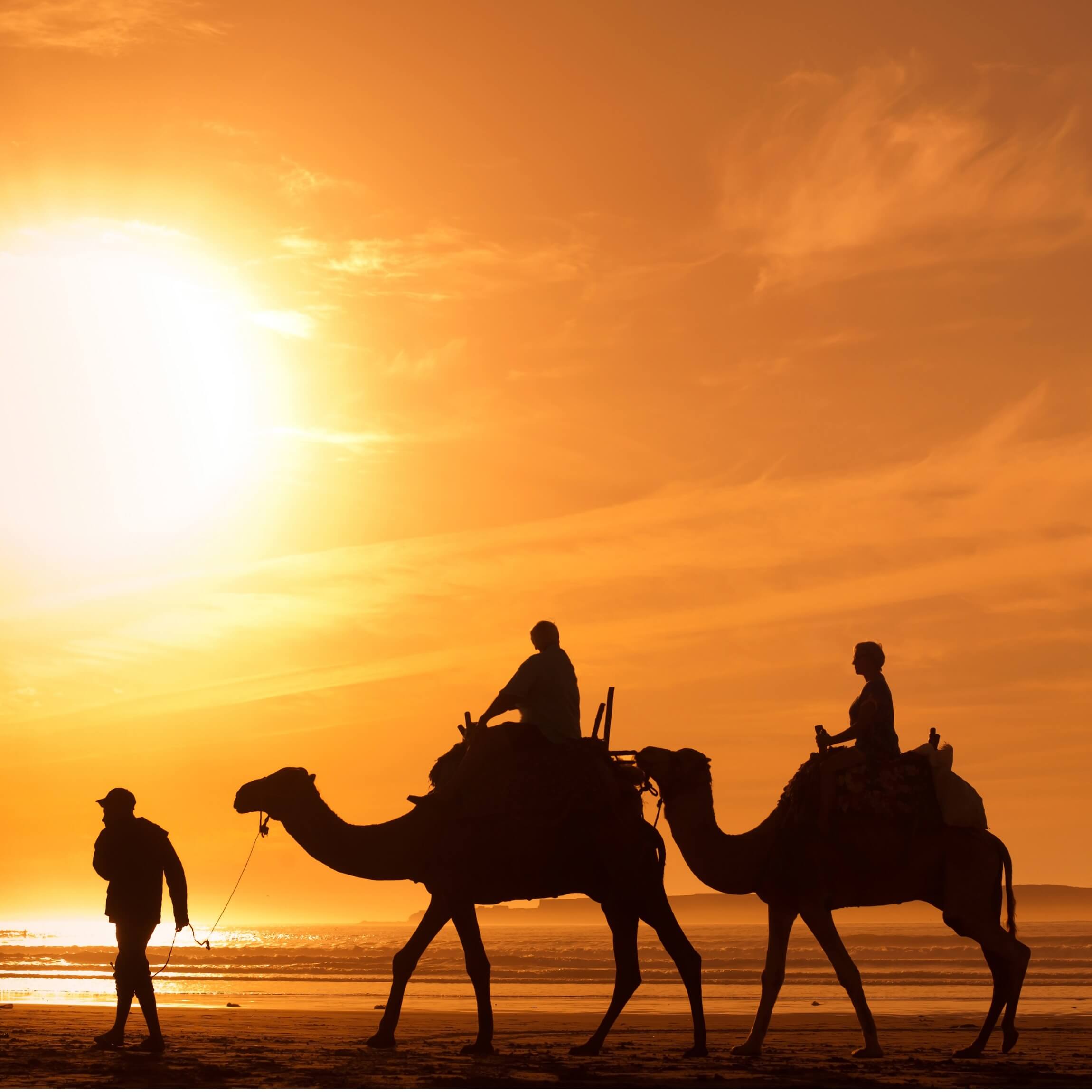 Devenir auto entrepreneur au maroc le guide