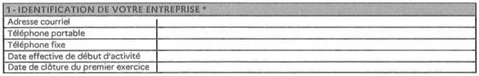 Questionnaire relatif à l'activité professionnelle encadré 1